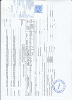 Кассовые чеки с подтверждением в Елизово